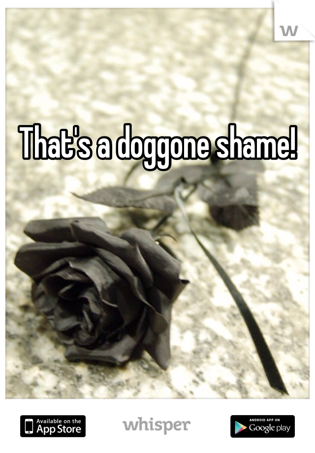 That's a doggone shame!
