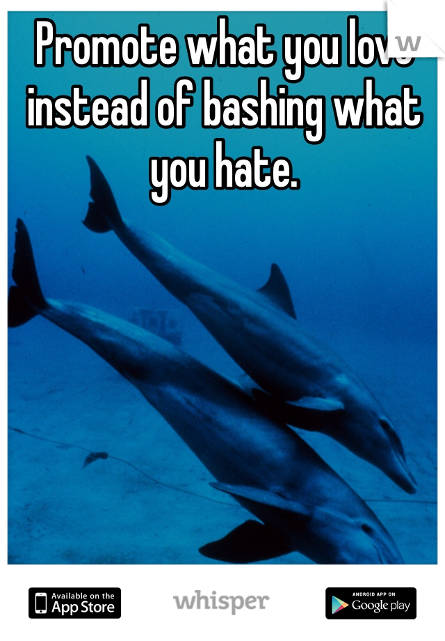 Promote what you love instead of bashing what you hate. 