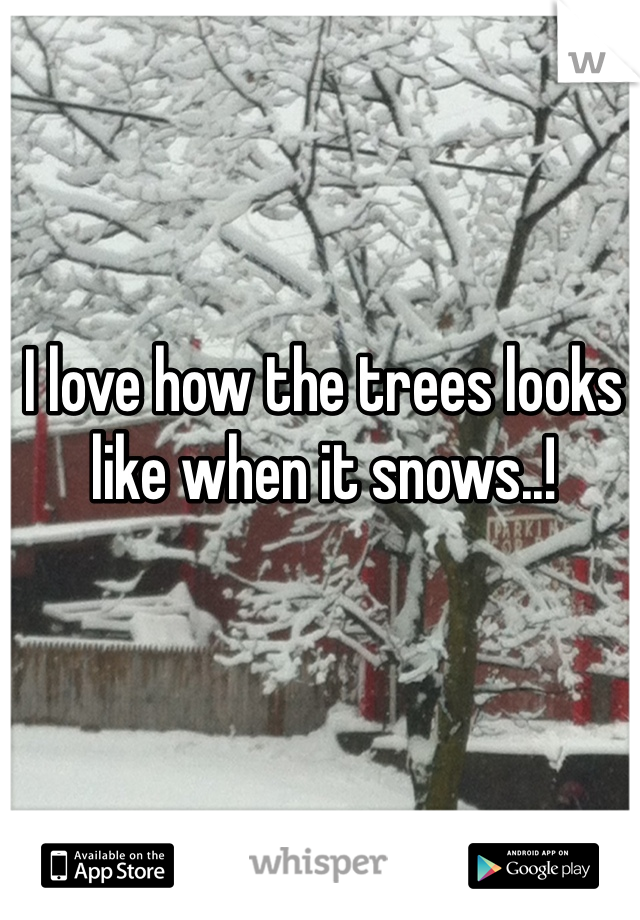 I love how the trees looks like when it snows..!