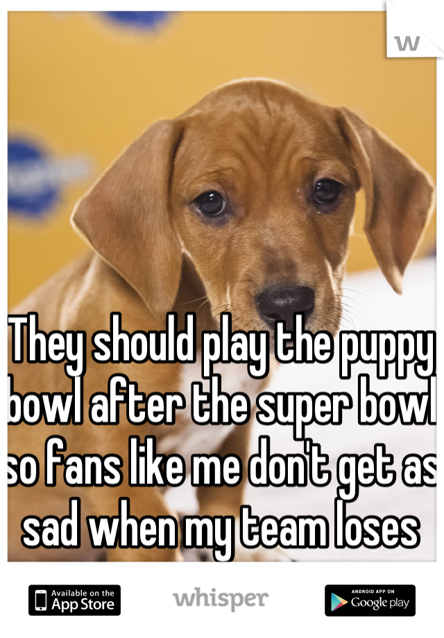 
They should play the puppy bowl after the super bowl so fans like me don't get as sad when my team loses 