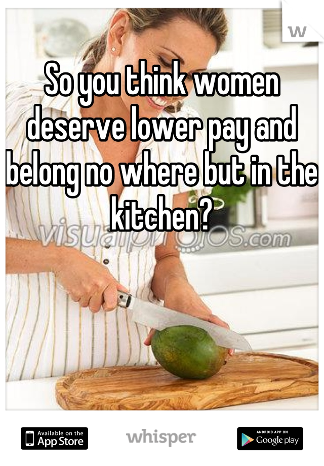 So you think women deserve lower pay and belong no where but in the kitchen?