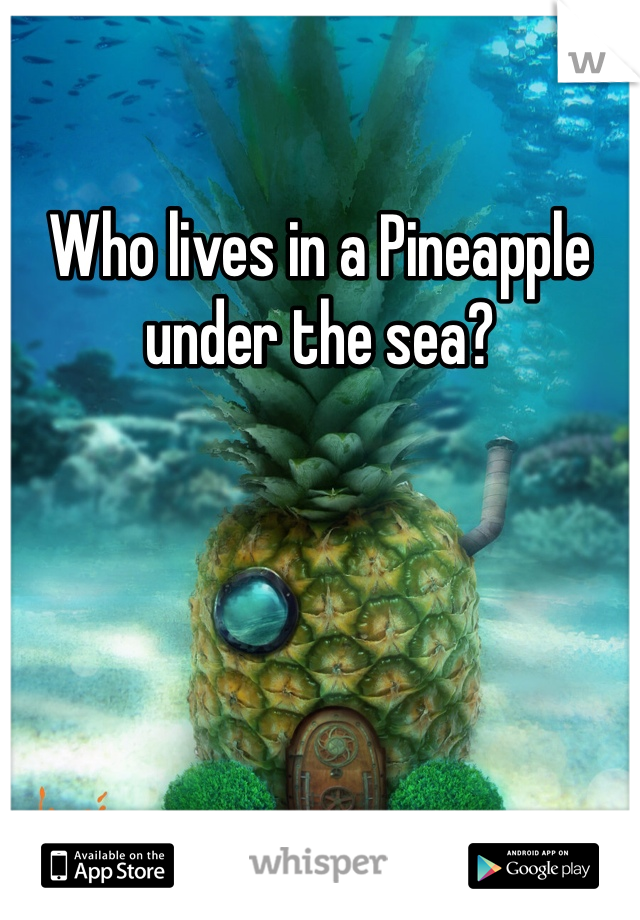 Who lives in a Pineapple under the sea?