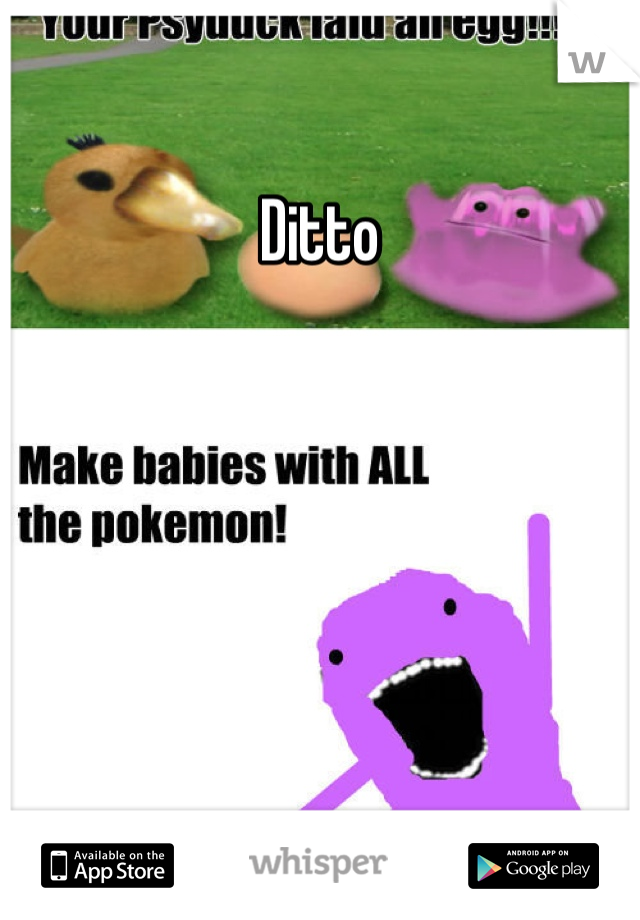 Ditto