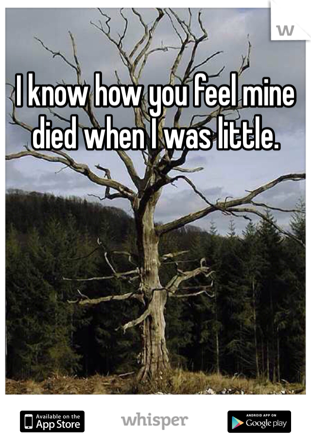 I know how you feel mine died when I was little.