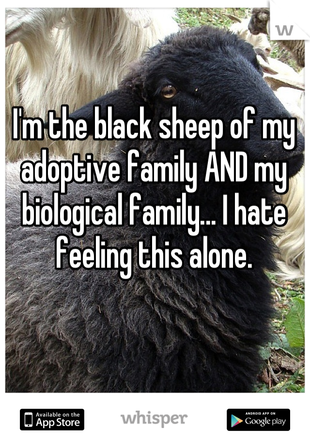 I'm the black sheep of my adoptive family AND my biological family... I hate feeling this alone.
