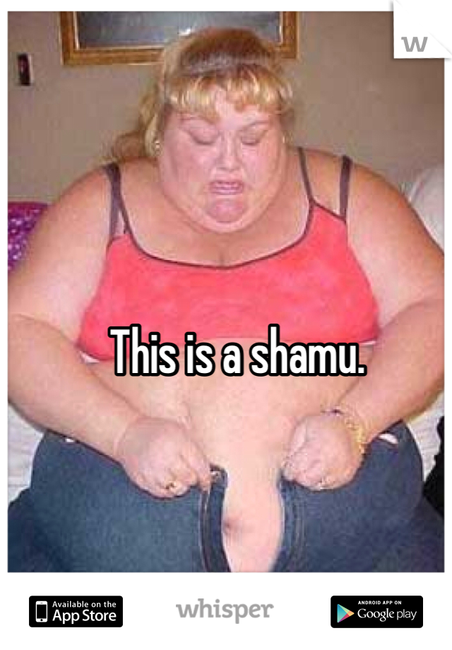 This is a shamu. 