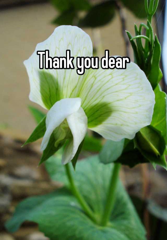 thank-you-dear