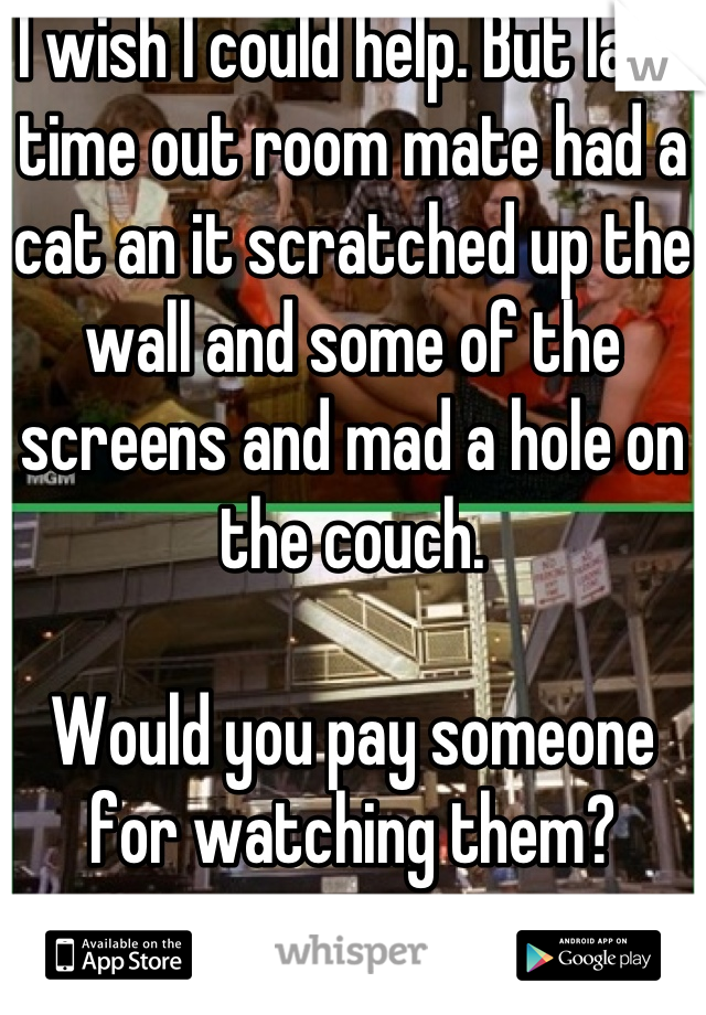 I wish I could help. But last time out room mate had a cat an it scratched up the wall and some of the screens and mad a hole on the couch.

Would you pay someone for watching them?