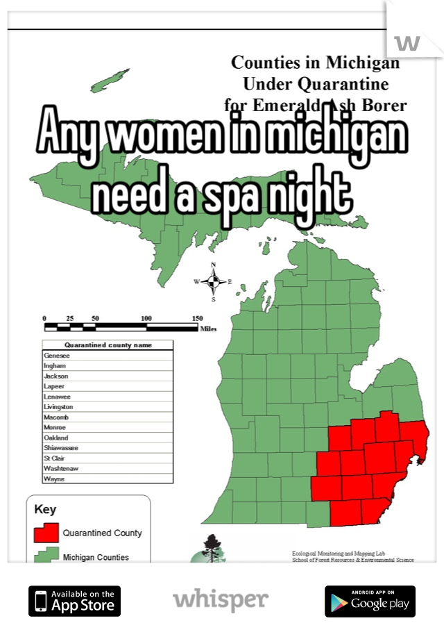 Any women in michigan need a spa night 