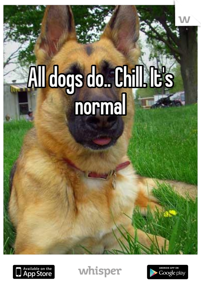 All dogs do.. Chill. It's normal 
