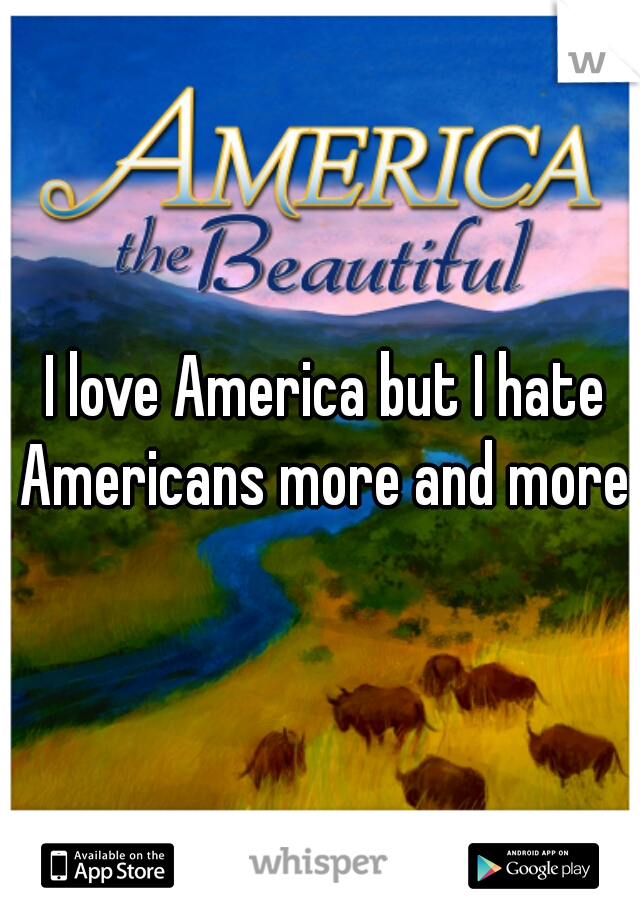  I love America but I hate Americans more and more