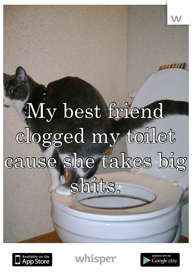 My best friend clogged my toilet cause she takes big shits. 