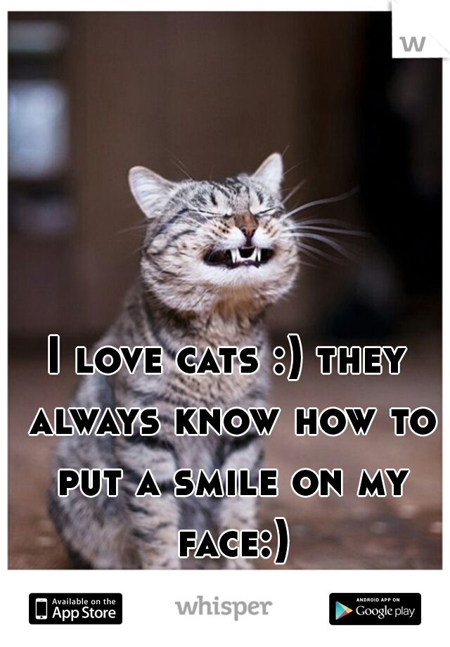 I love cats :) they always know how to put a smile on my face:)
