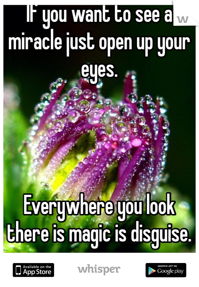 If you want to see a miracle just open up your eyes.




Everywhere you look there is magic is disguise.