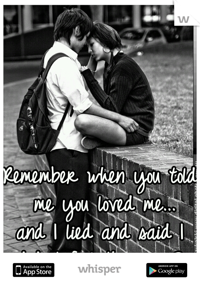 Remember when you told me you loved me...
and I lied and said I didn't feel the same? 