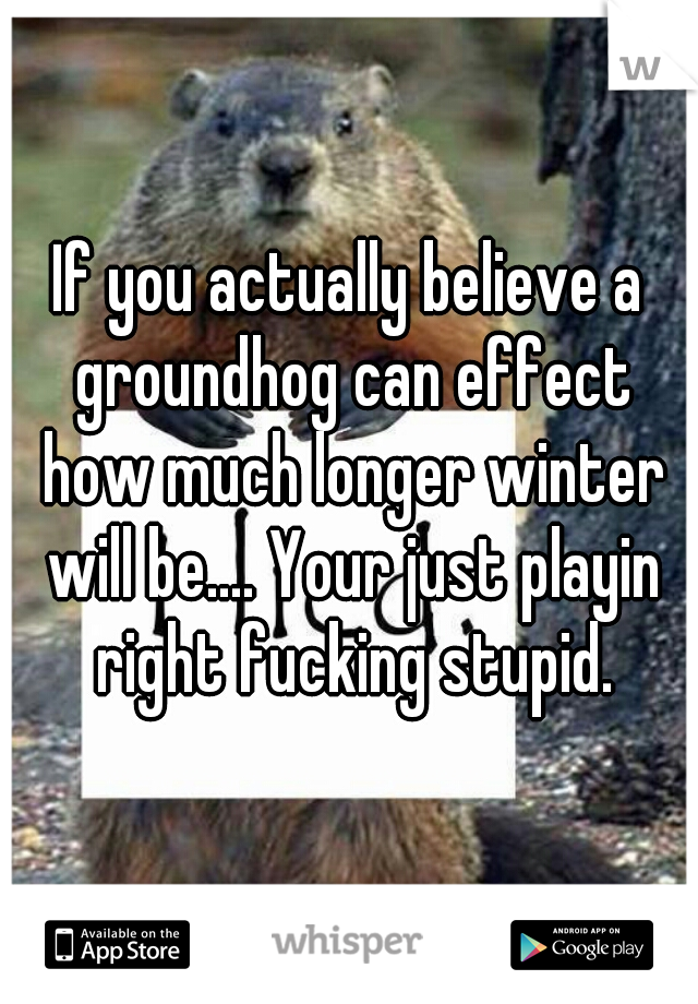If you actually believe a groundhog can effect how much longer winter will be.... Your just playin right fucking stupid.
