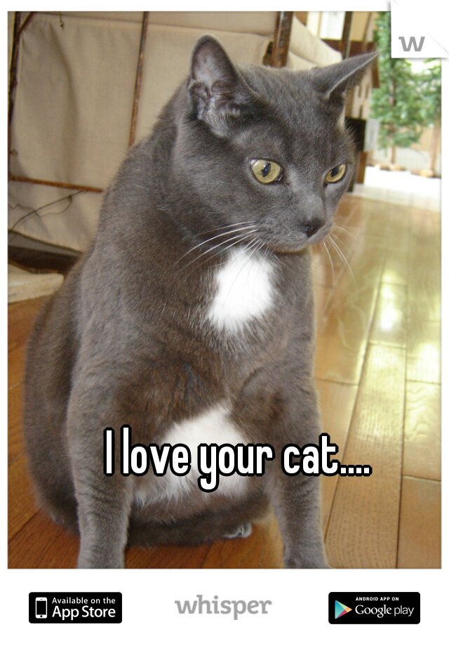I love your cat....
