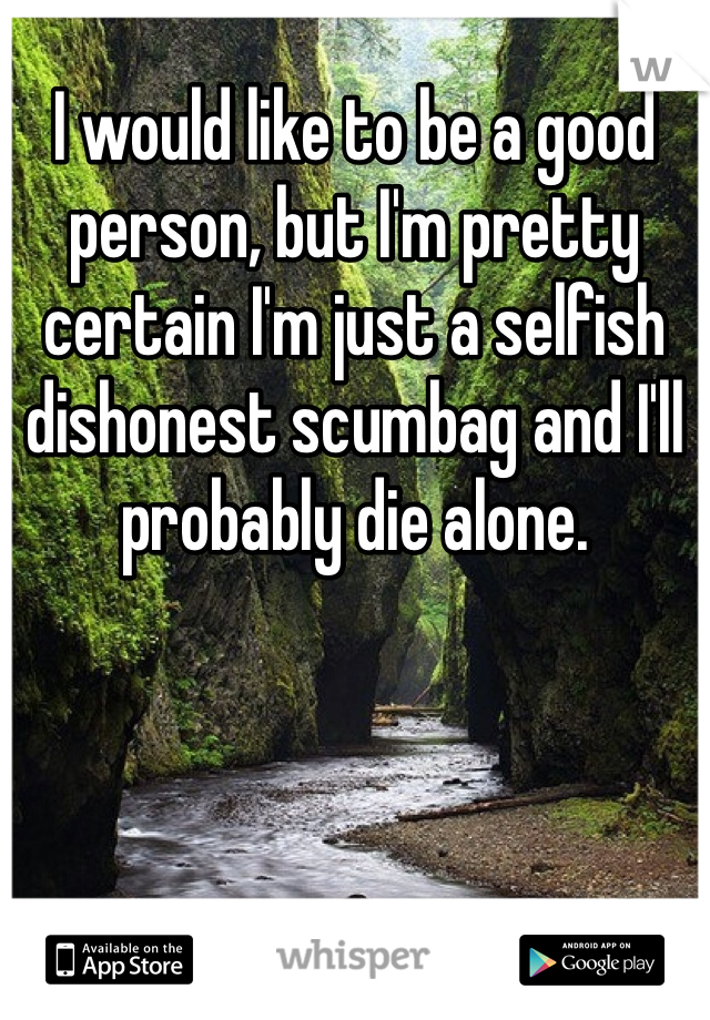 I would like to be a good person, but I'm pretty certain I'm just a selfish dishonest scumbag and I'll probably die alone. 