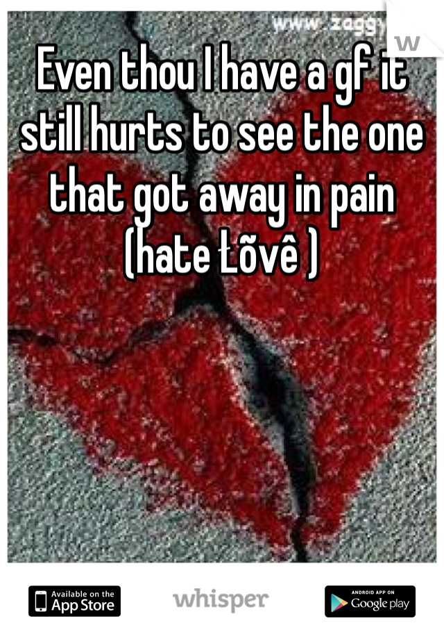 Even thou I have a gf it still hurts to see the one that got away in pain (hate Łõvê ) 