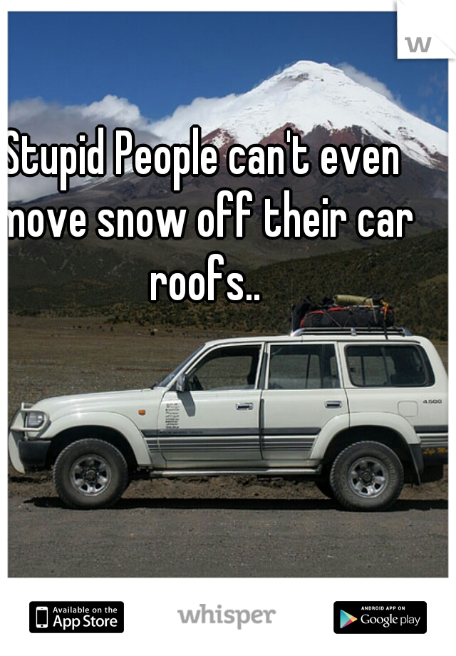 Stupid People can't even move snow off their car roofs..