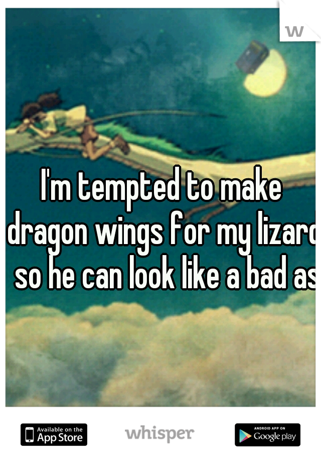 I'm tempted to make dragon wings for my lizard  so he can look like a bad ass