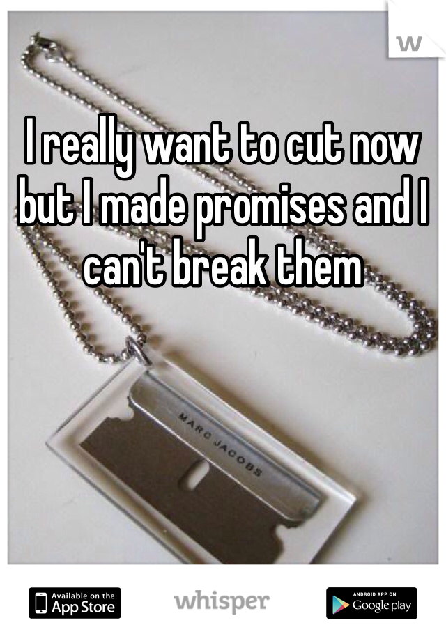 I really want to cut now but I made promises and I can't break them