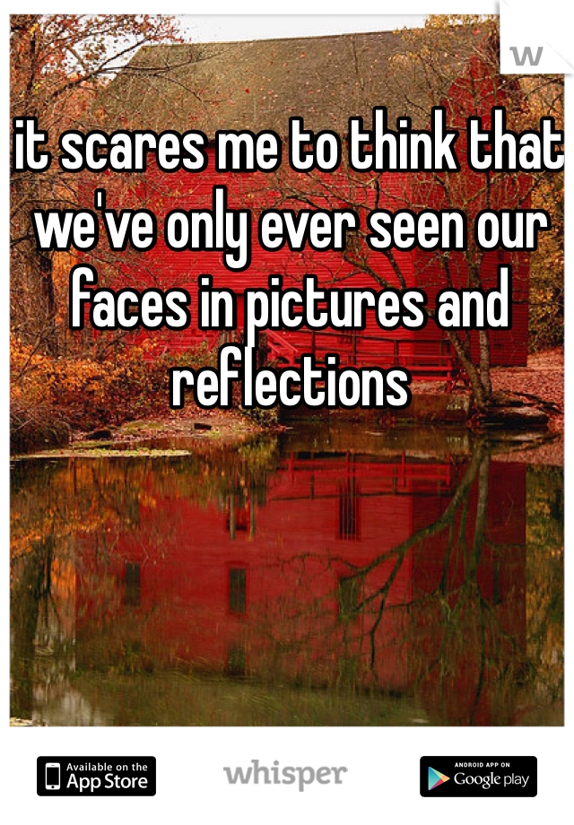 it scares me to think that we've only ever seen our faces in pictures and reflections 