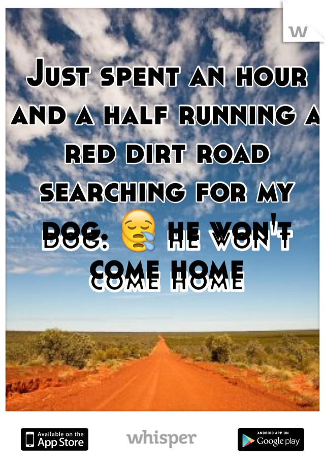 Just spent an hour and a half running a red dirt road searching for my dog. 😪 he won't come home 