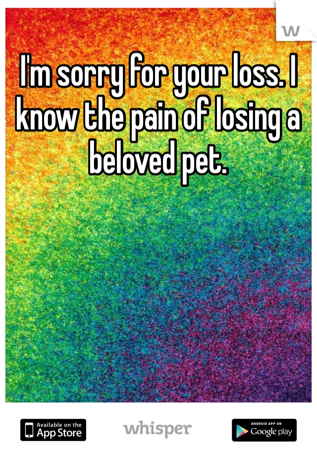 I'm sorry for your loss. I know the pain of losing a beloved pet.