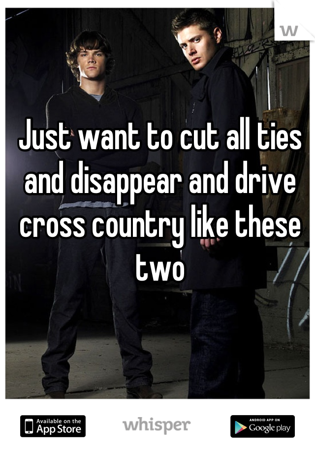 Just want to cut all ties and disappear and drive cross country like these two