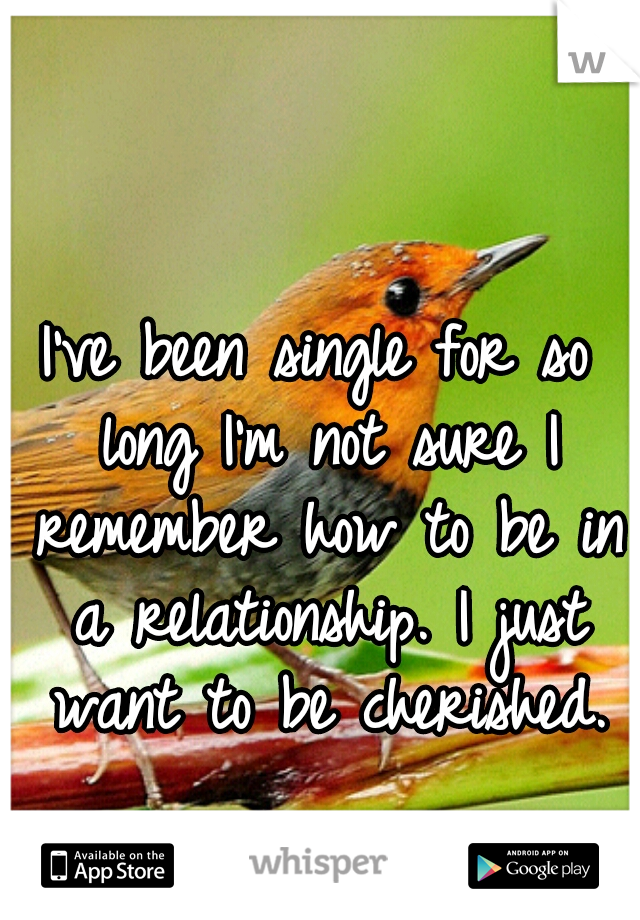 I've been single for so long I'm not sure I remember how to be in a relationship. I just want to be cherished.