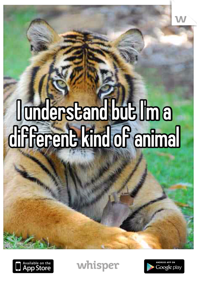 I understand but I'm a different kind of animal 