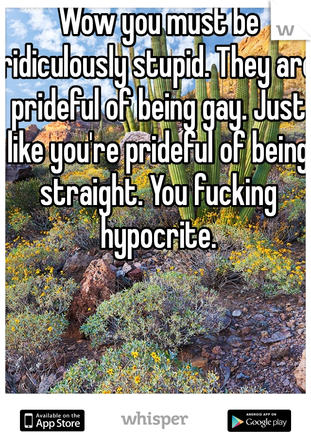 Wow you must be ridiculously stupid. They are prideful of being gay. Just like you're prideful of being straight. You fucking hypocrite. 