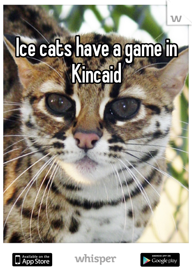 Ice cats have a game in Kincaid