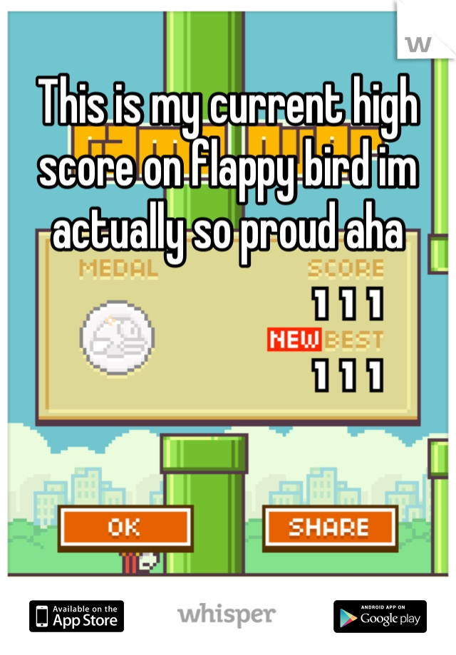 This is my current high score on flappy bird im actually so proud aha 