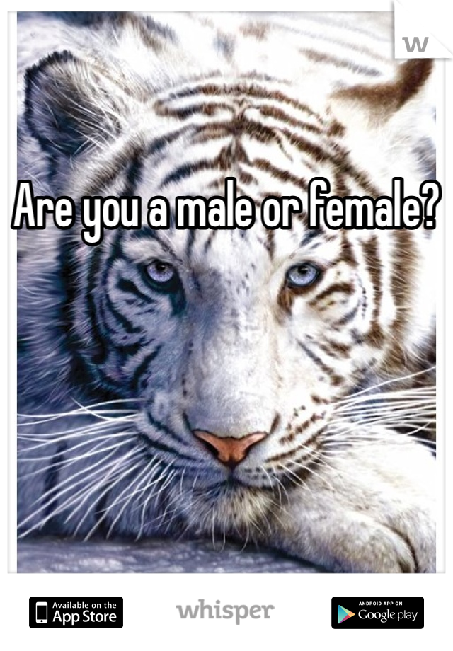 Are you a male or female?