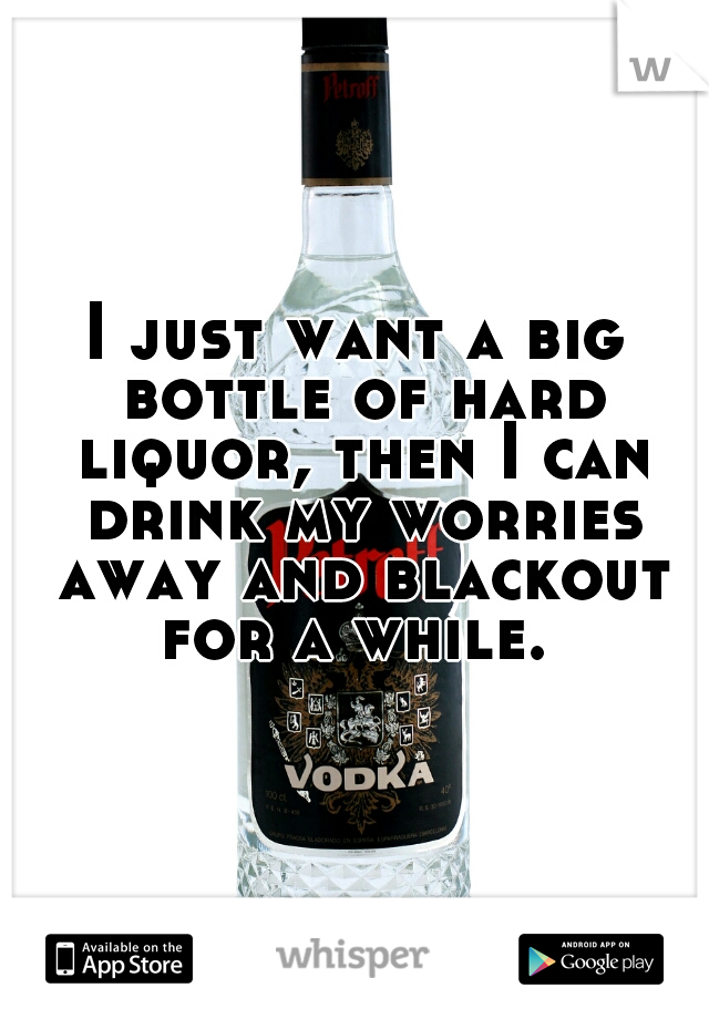I just want a big bottle of hard liquor, then I can drink my worries away and blackout for a while. 