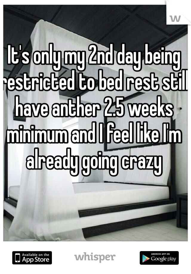 It's only my 2nd day being restricted to bed rest still have anther 2.5 weeks minimum and I feel like I'm already going crazy 