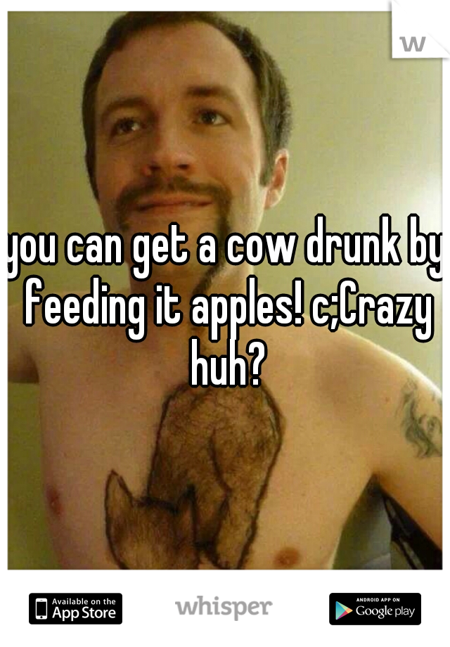you can get a cow drunk by feeding it apples! c;Crazy huh?