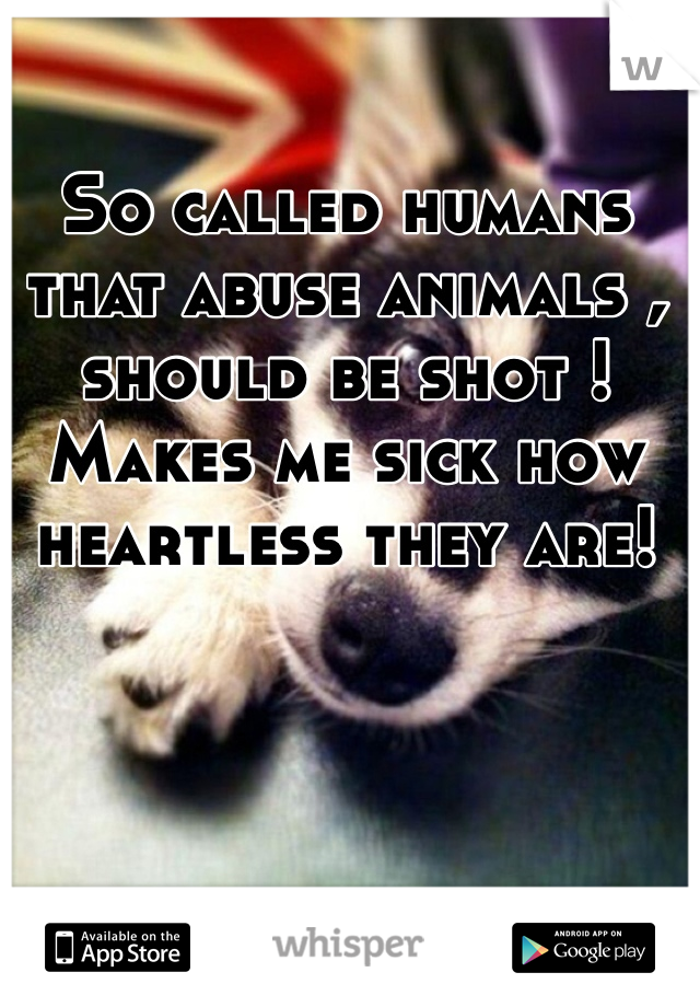 So called humans that abuse animals , should be shot ! Makes me sick how heartless they are! 
