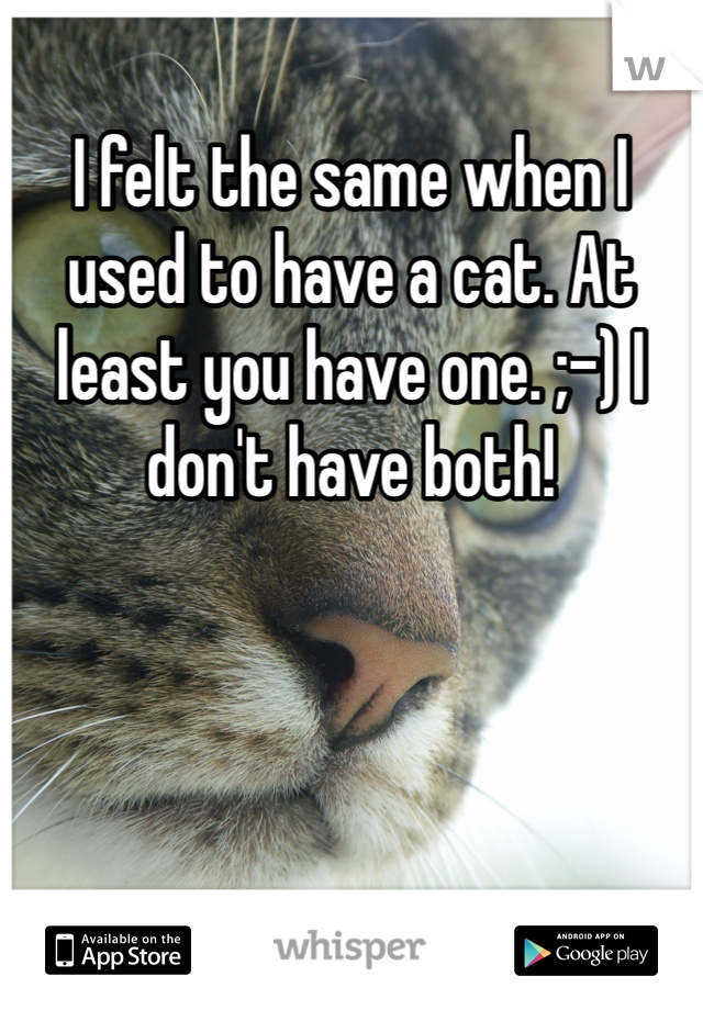 I felt the same when I used to have a cat. At least you have one. ;-) I don't have both! 
