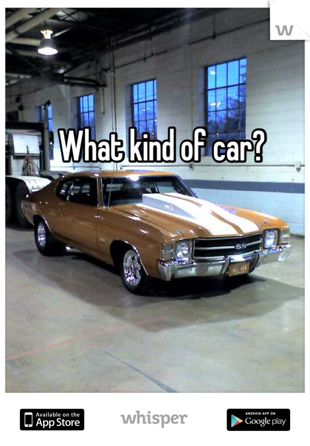 What kind of car?