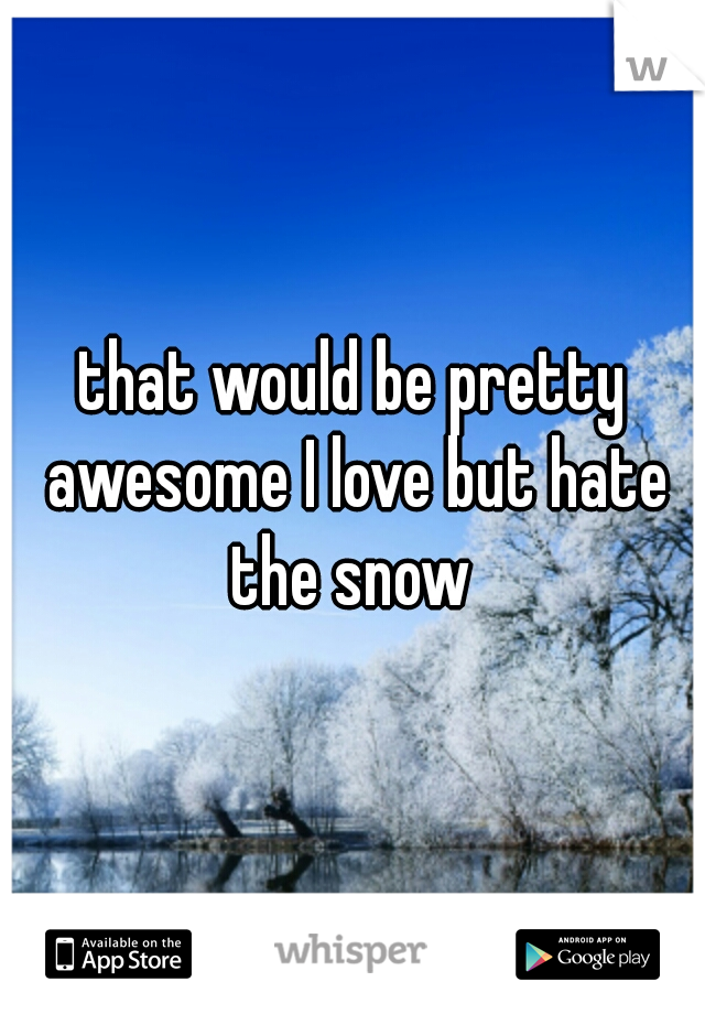 that would be pretty awesome I love but hate the snow 