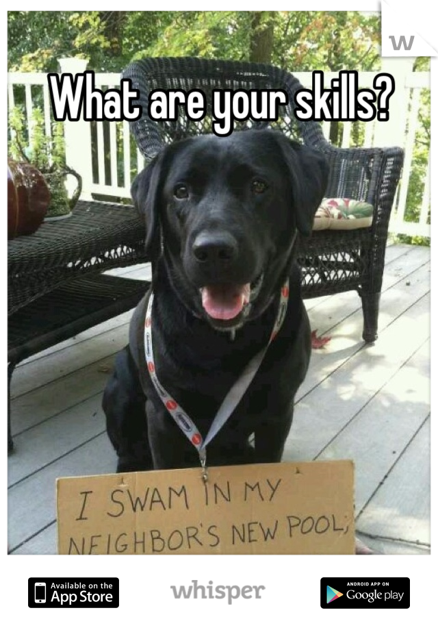 What are your skills?