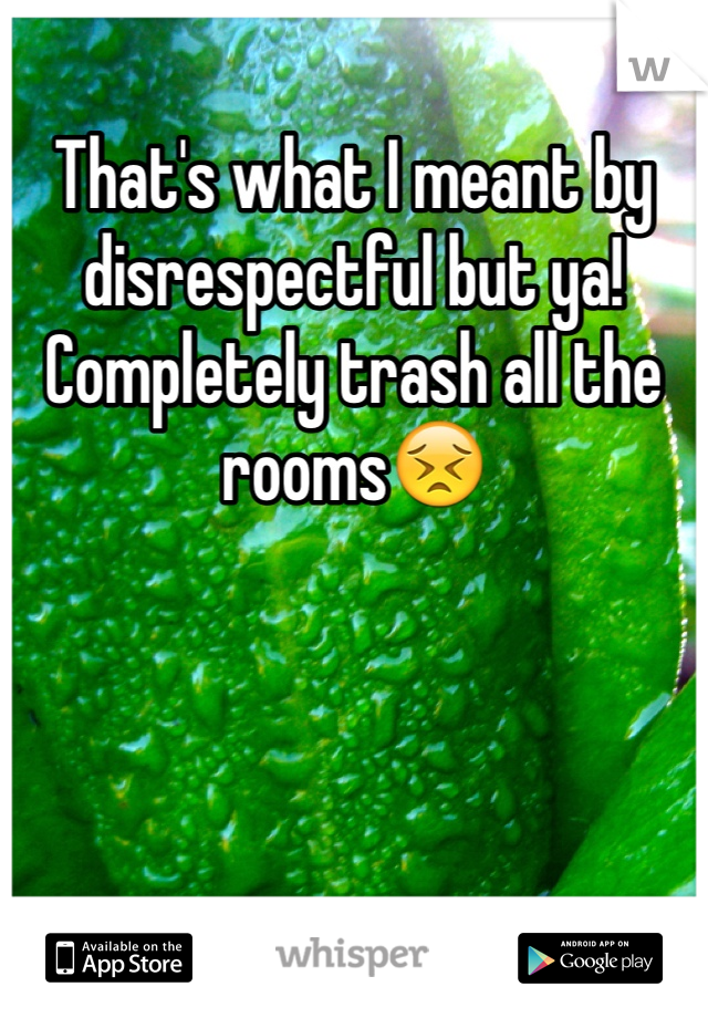 That's what I meant by disrespectful but ya! Completely trash all the rooms😣