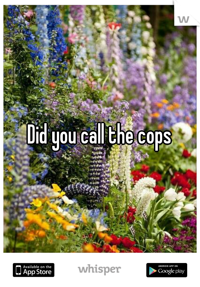 Did you call the cops