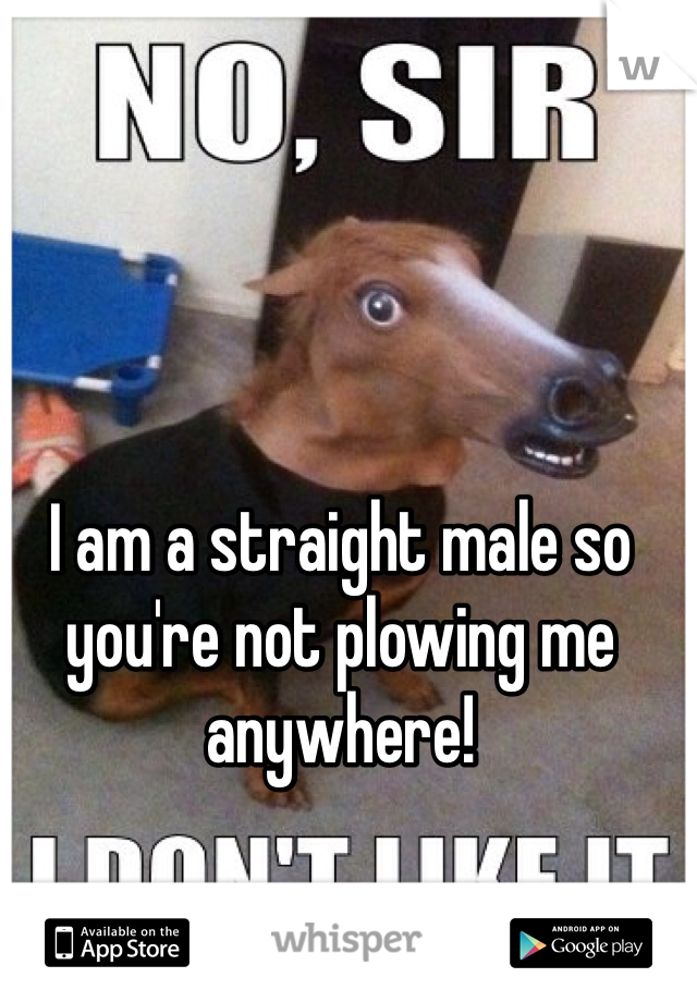 I am a straight male so you're not plowing me anywhere!