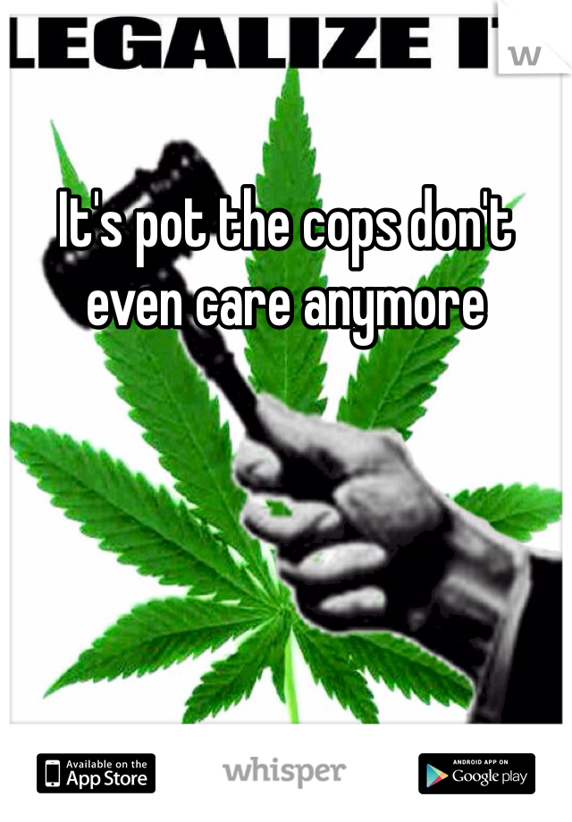 It's pot the cops don't even care anymore 