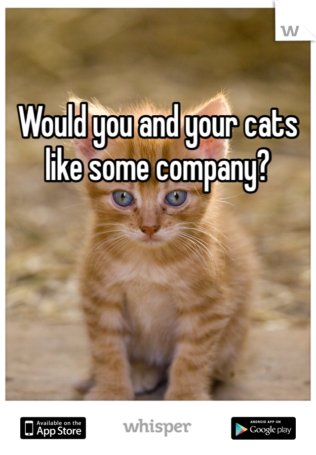 Would you and your cats like some company?