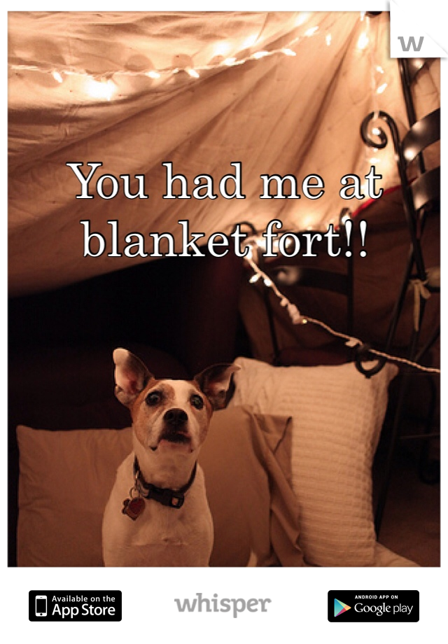 You had me at blanket fort!! 